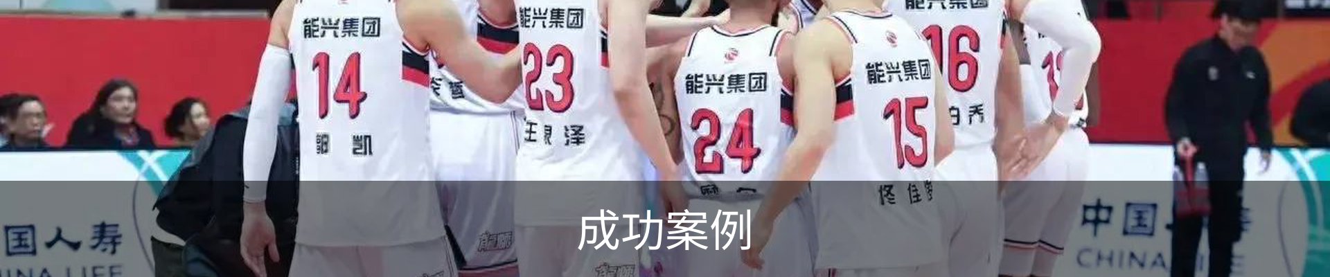 成功案例